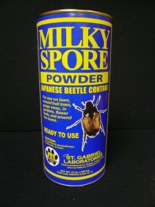 milky spore application time