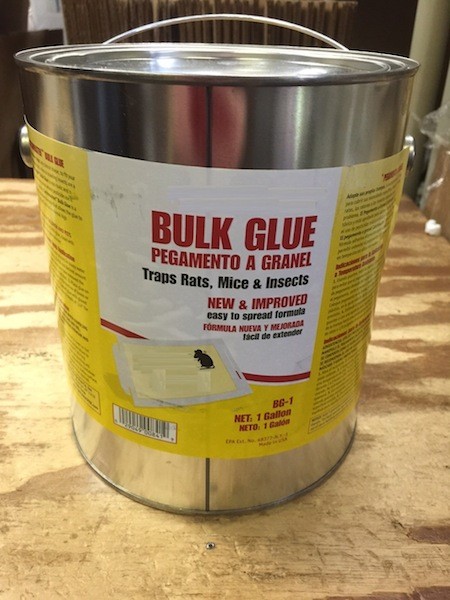 Trapper Bulk Glue  Solutions Pest & Lawn