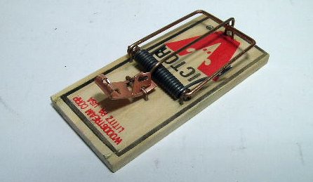 mouse trap trigger
