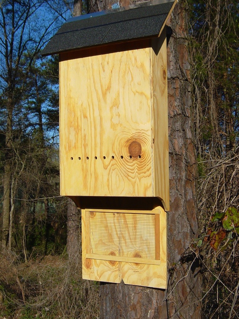 BAT HOUSE 2 CHAMBER 48 X 18 X 4 